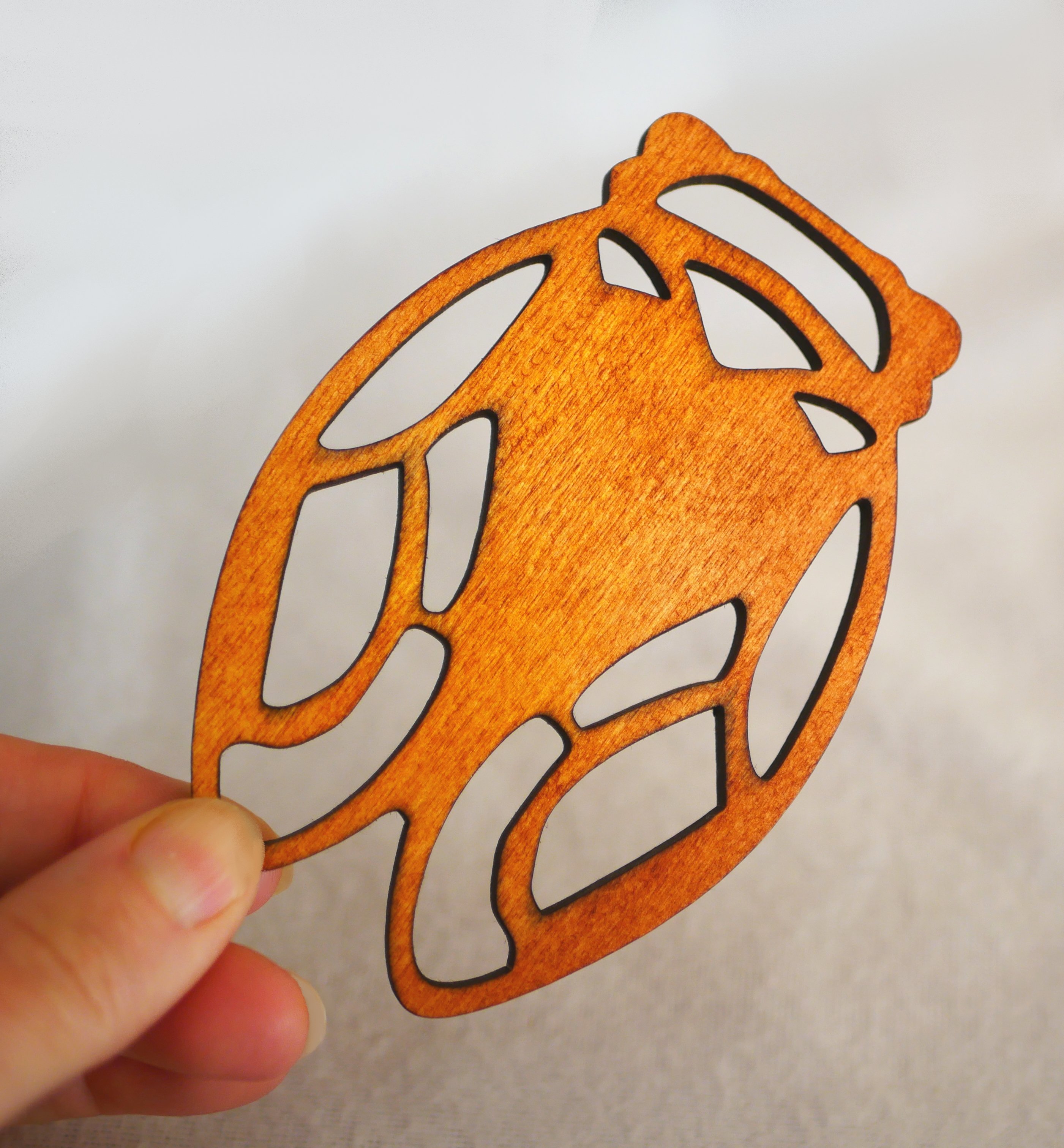 5 cart&otilde;es de lugar em madeira Cicada para personalizar com o seu nome