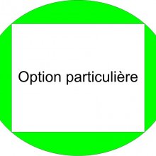 Opção de adicionar a uma encomenda uma opção ou um serviço específico